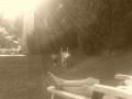 IMG_20120804_171722